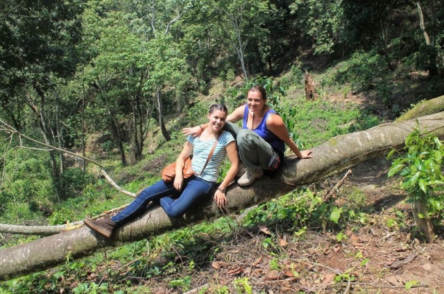  Passeggiate a Nayarit 